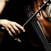 tečaj violine u centru bassocontinuo