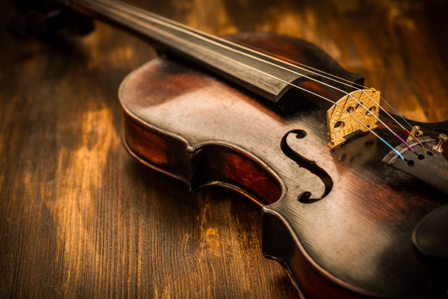 tečaj violine u bassocontinuo